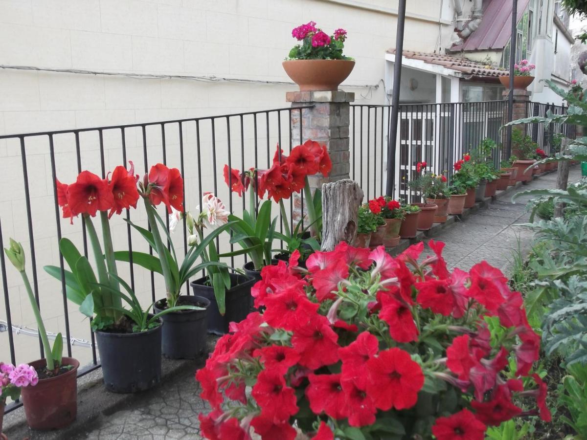 הוילה Vietri Le Mimose מראה חיצוני תמונה
