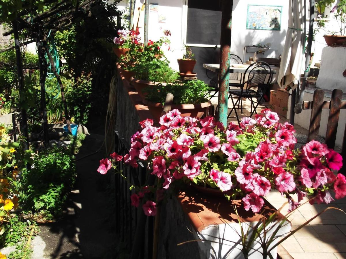 הוילה Vietri Le Mimose מראה חיצוני תמונה