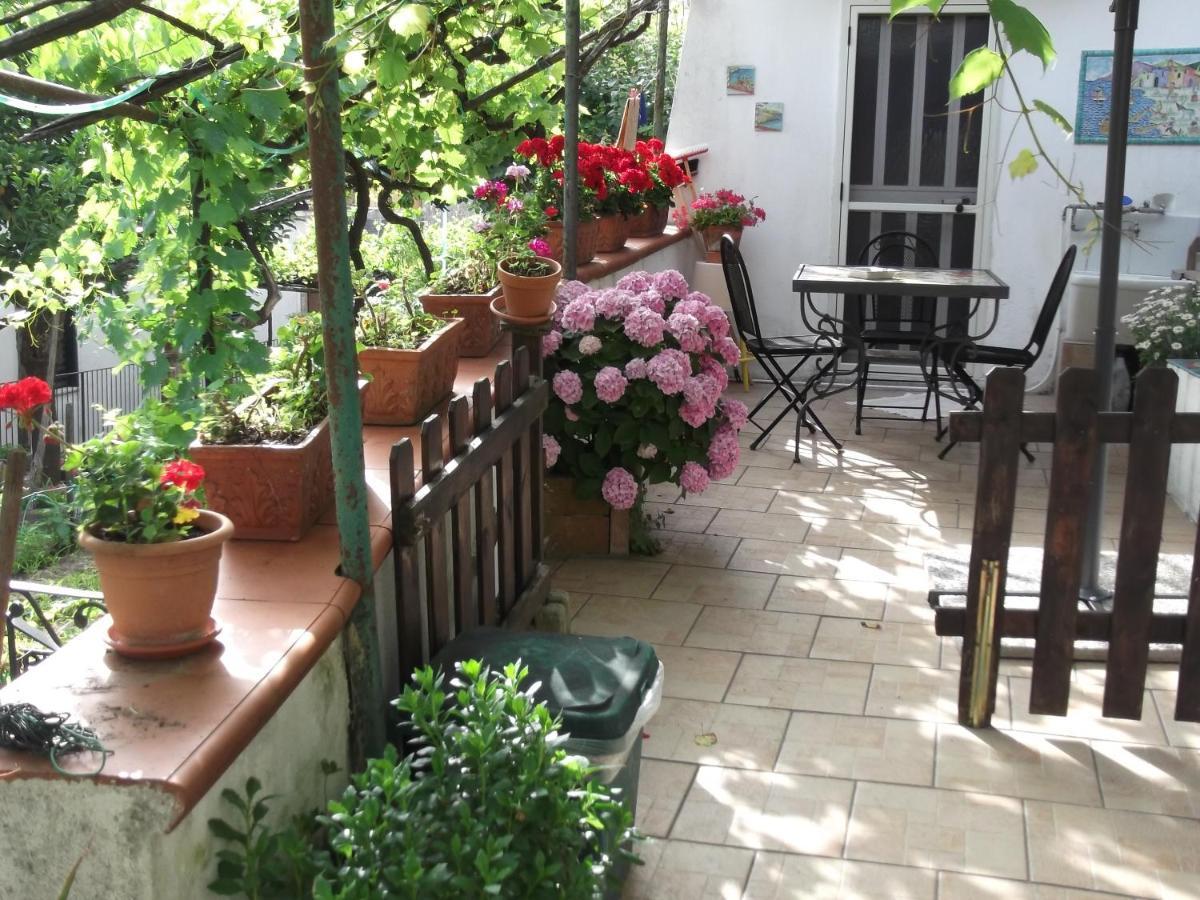 הוילה Vietri Le Mimose מראה חיצוני תמונה