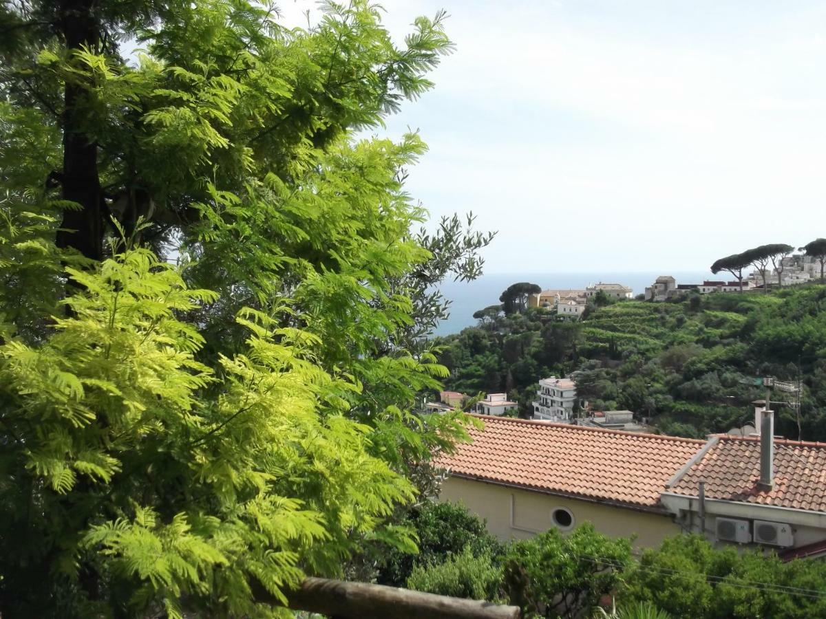 הוילה Vietri Le Mimose מראה חיצוני תמונה