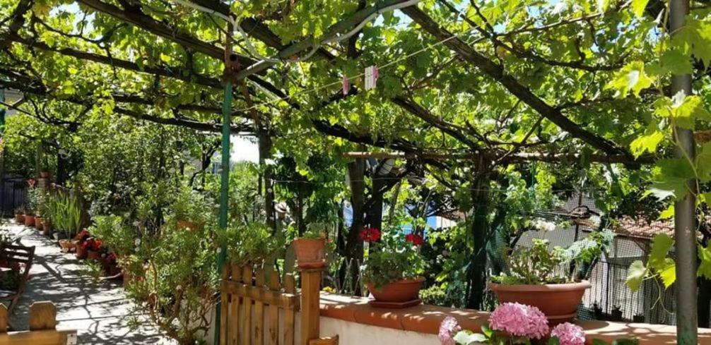 הוילה Vietri Le Mimose מראה חיצוני תמונה